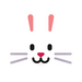 A white rabbit face